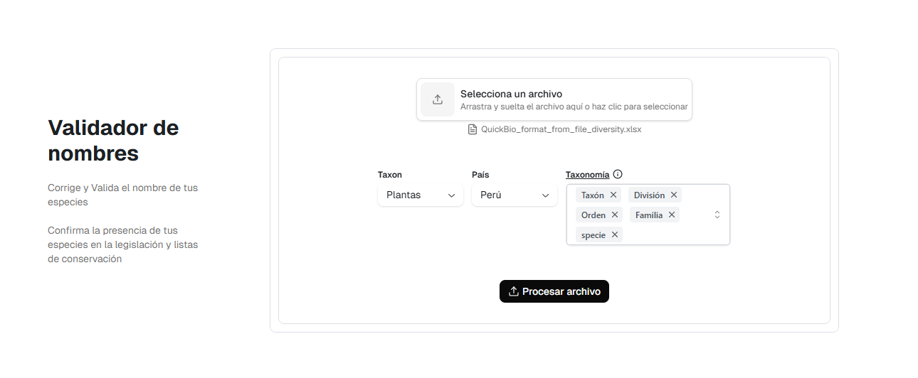 name_validator_stage_file